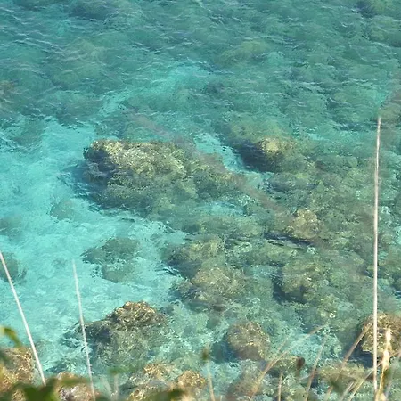 Il Calabriano Zambrone