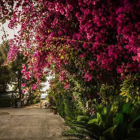 Il Calabriano Aparthotel