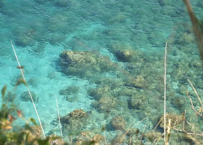 Il Calabriano Zambrone